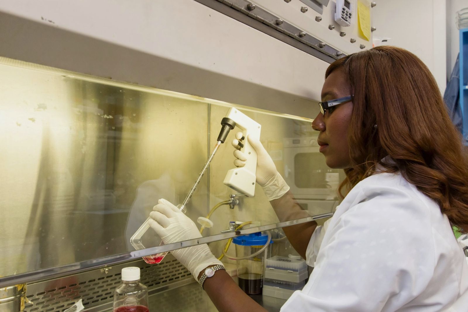 Scientist in a lab coat and gloves pipetting inside a biosafety cabinet